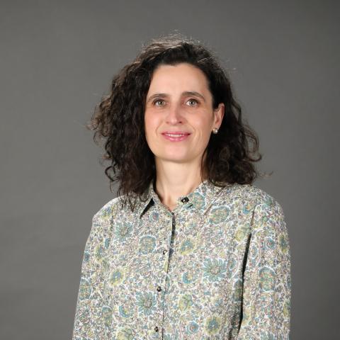 Profile picture for user dominguc