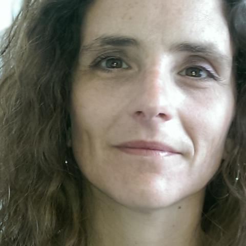 Profile picture for user carriers