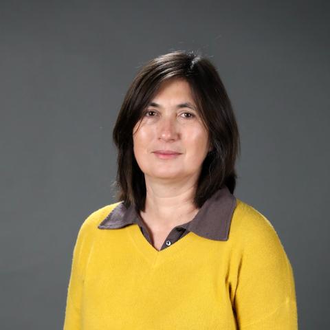 Profile picture for user cartons